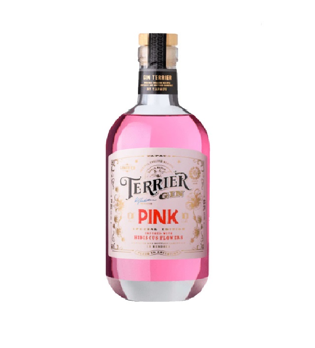 gin-terrier-pink